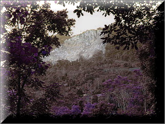 Public domain edited photo 