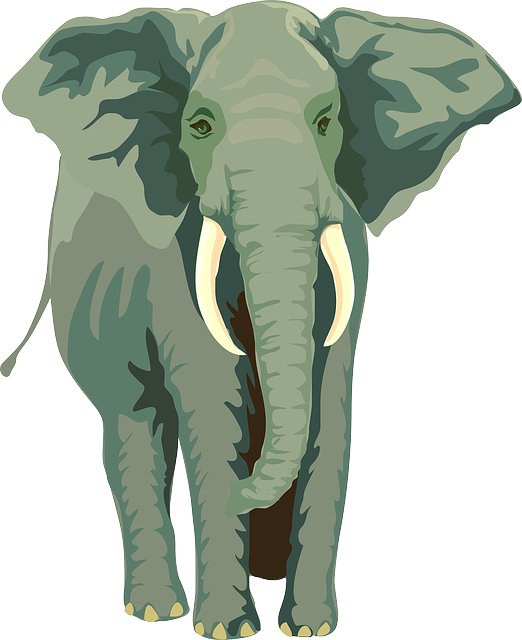 Attachment elephant-24722_640.png