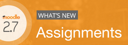 Assignment improvements